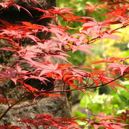 Usuki Yunosato Hotel Saiki Luaran gambar